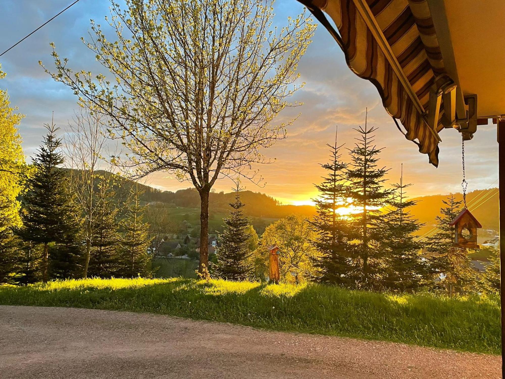 Ferienwohnung Am Buergele Schopfheim Esterno foto